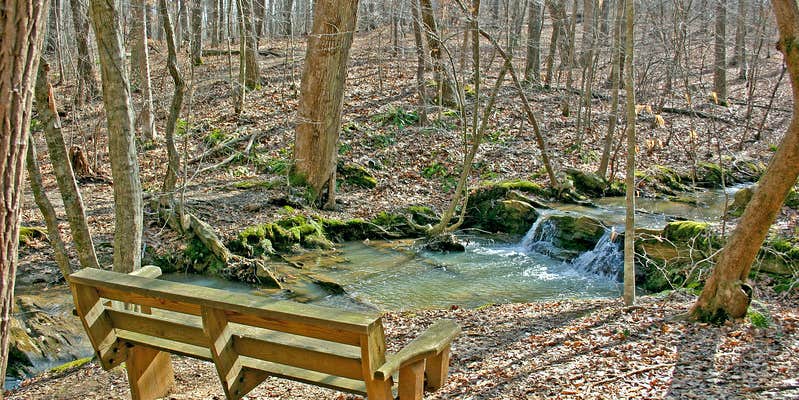 Camper submitted image from Picketts Mill Battlefield State Historic Site