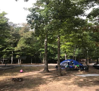 Camper-submitted photo from Standing Stone State Park Campground