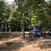 Review photo of Davy Crockett Campground by Katherine H., September 12, 2020