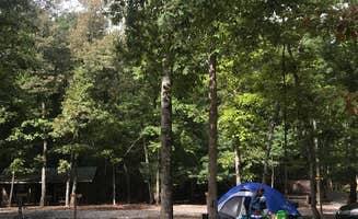 Katherine H.'s photo at Davy Crockett Campground near Pleasant Hill, TN