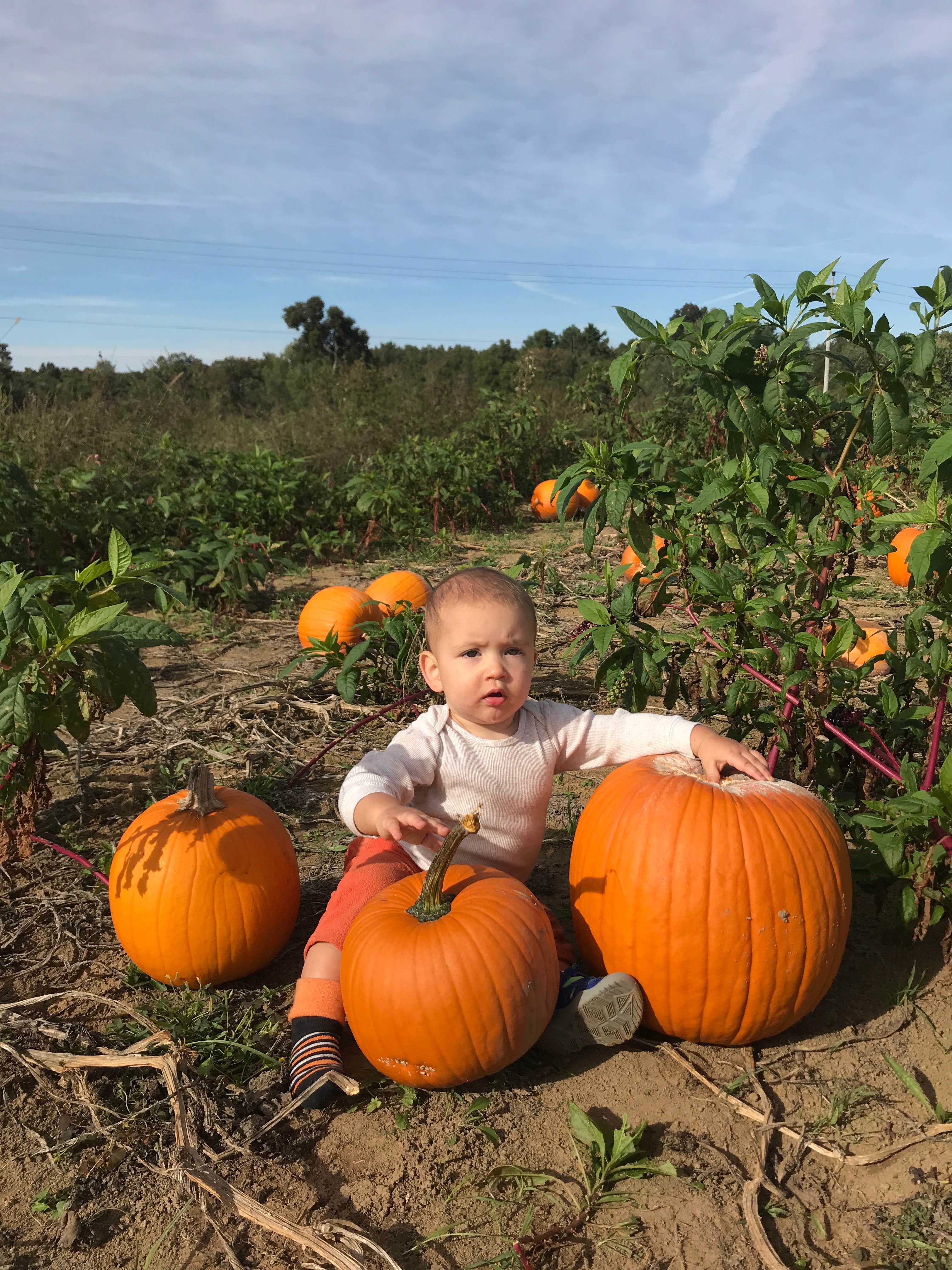 Camper-submitted photo at Davy Crockett Campground near Rickman, TN