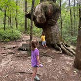 Review photo of Cedars of Lebanon State Park Campground by Katherine H., September 12, 2020