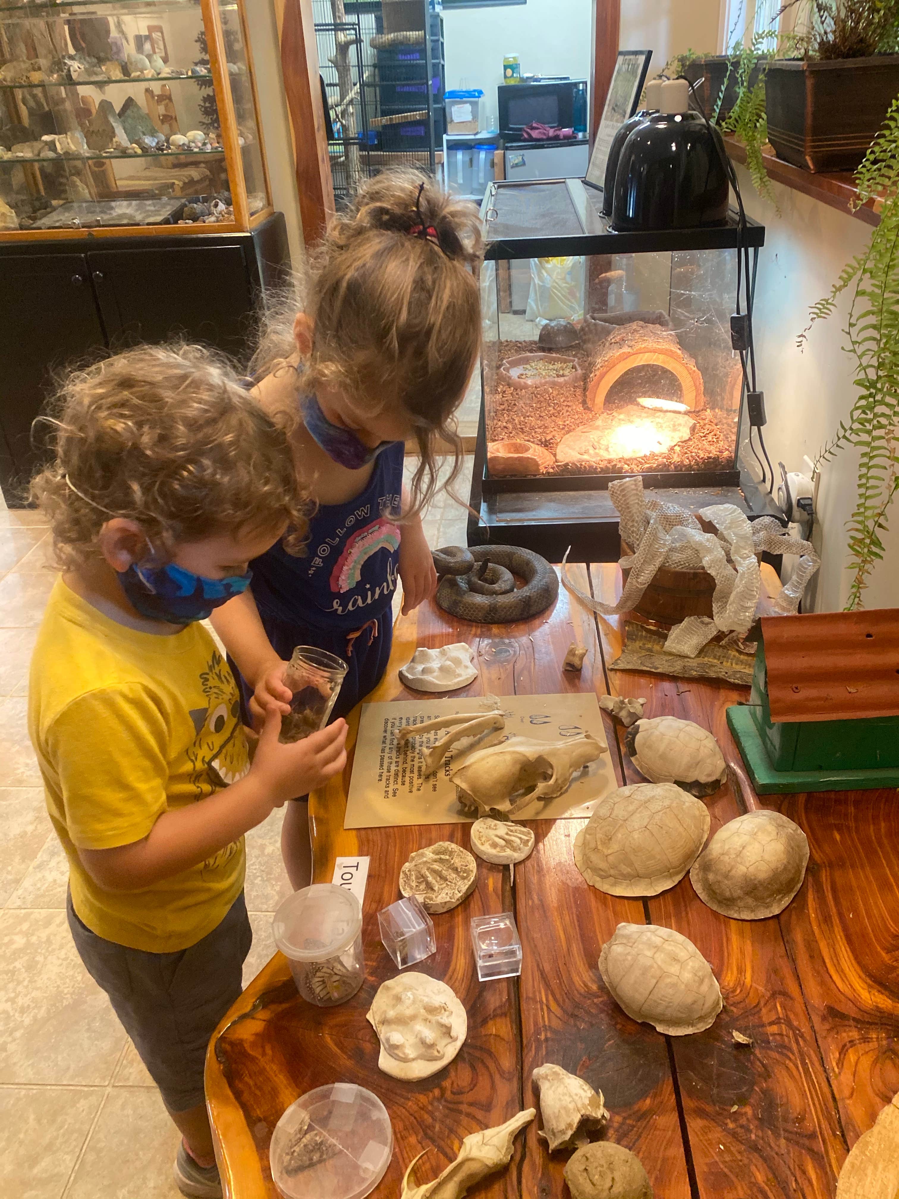 Camper-submitted photo at Cedars of Lebanon State Park Campground near Hendersonville, TN