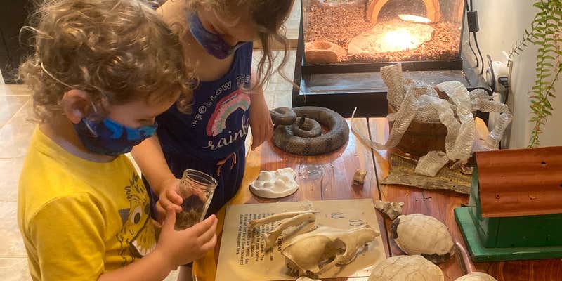 Camper submitted image from Cedars of Lebanon State Park Campground