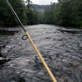 Review photo of Toccoa River Sandy Bottoms Recreation Area by Blake C., September 12, 2020