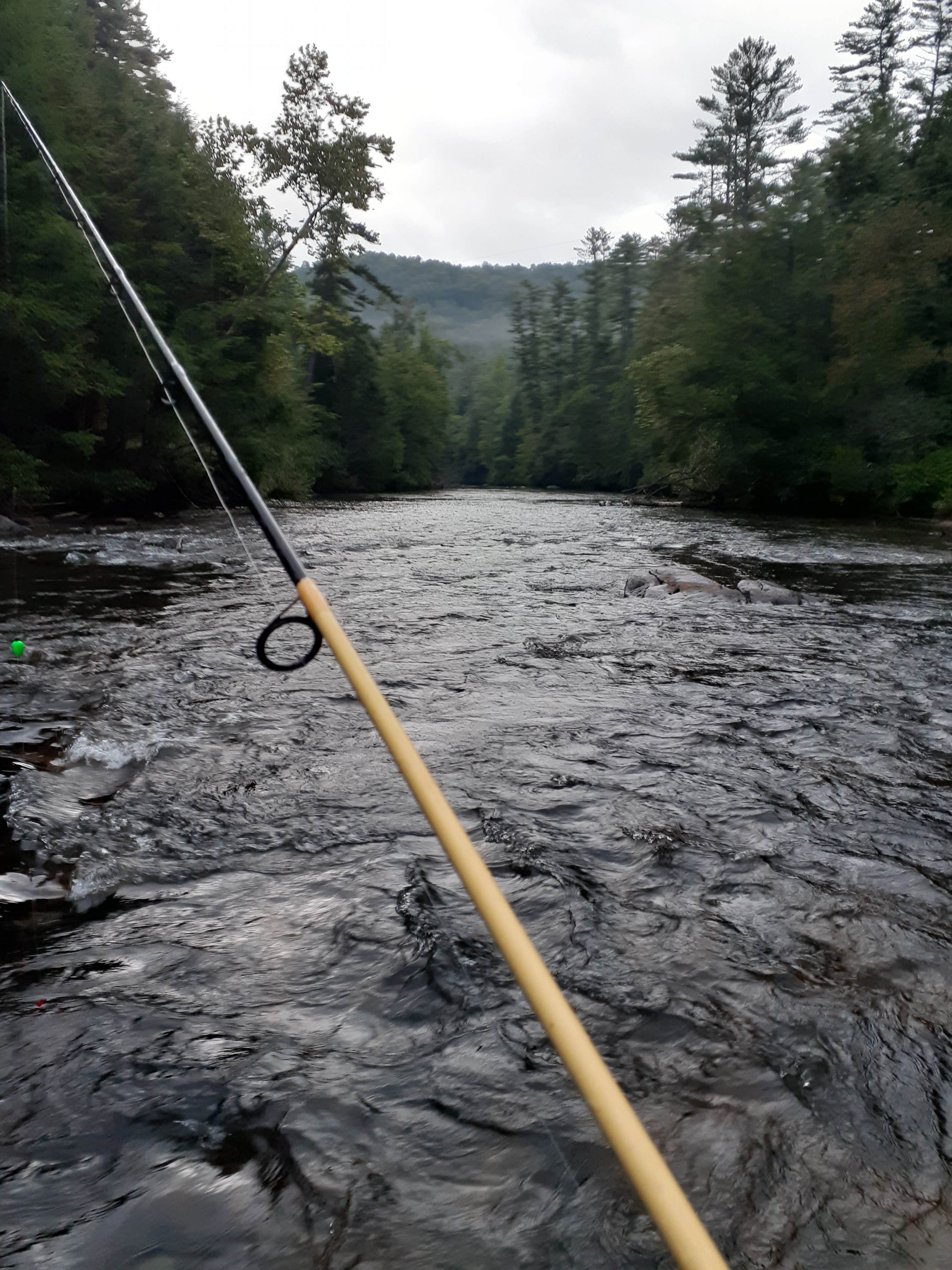 Camper submitted image from Toccoa River Sandy Bottoms Recreation Area - 4