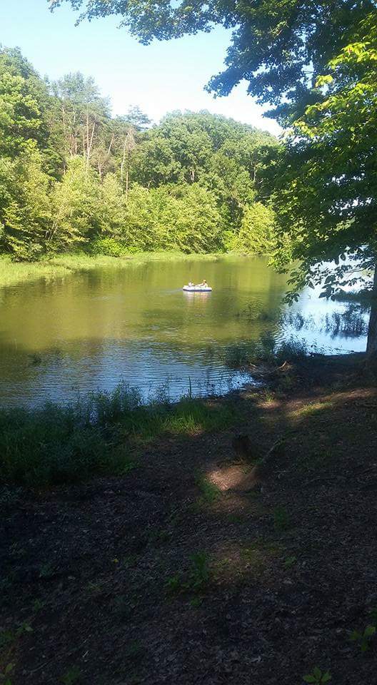 Camper submitted image from Wooster Bay Campground — Hardy Lake State Recreation Area - 1