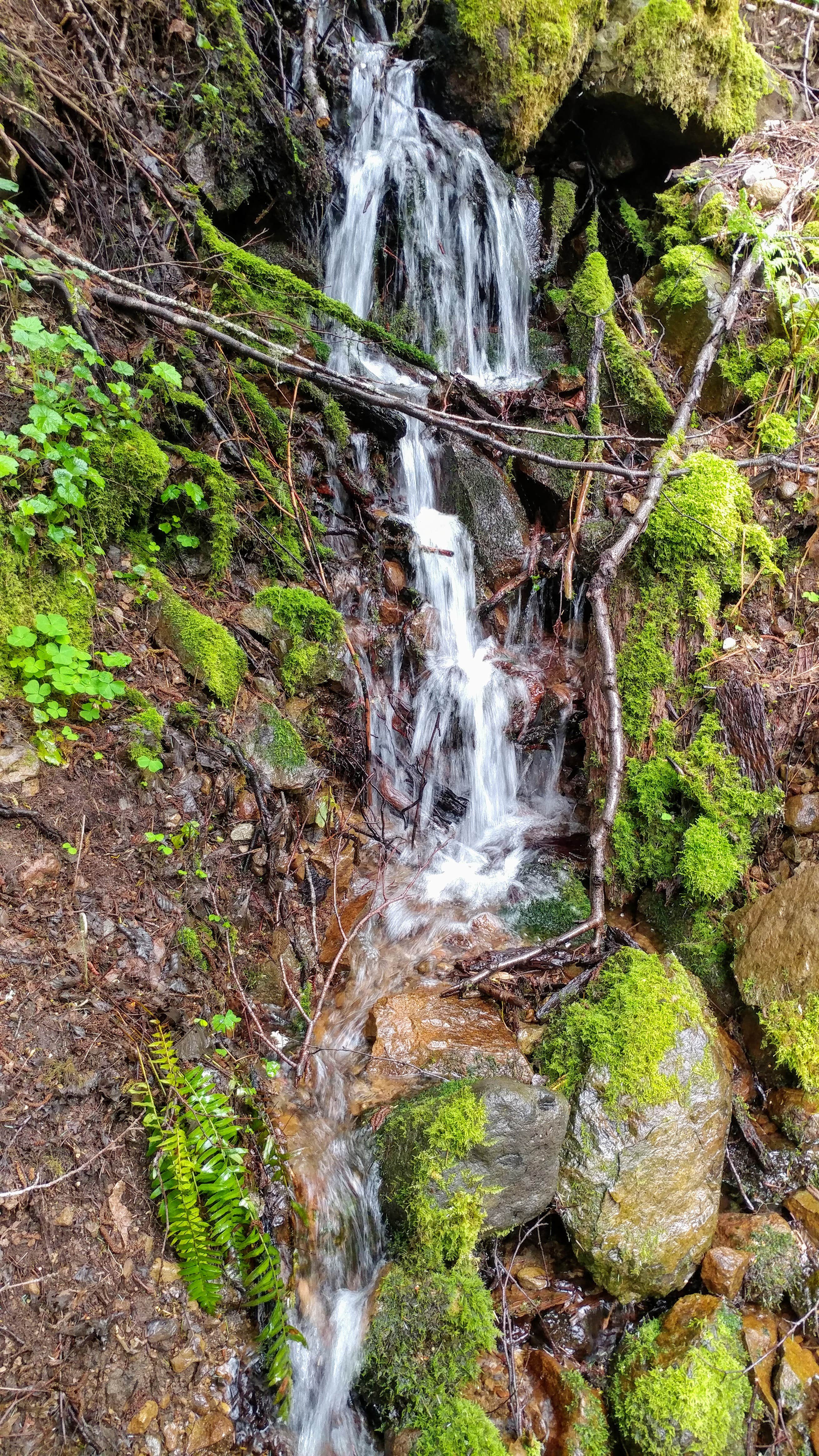 Water
