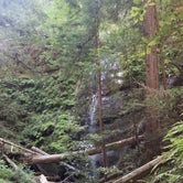 Review photo of Lower Blooms Creek — Big Basin Redwoods State Park — CAMPGROUND CLOSED by Sharon B., September 12, 2020