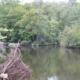 Review photo of Pocahontas State Park Campground by Casey S., September 12, 2020