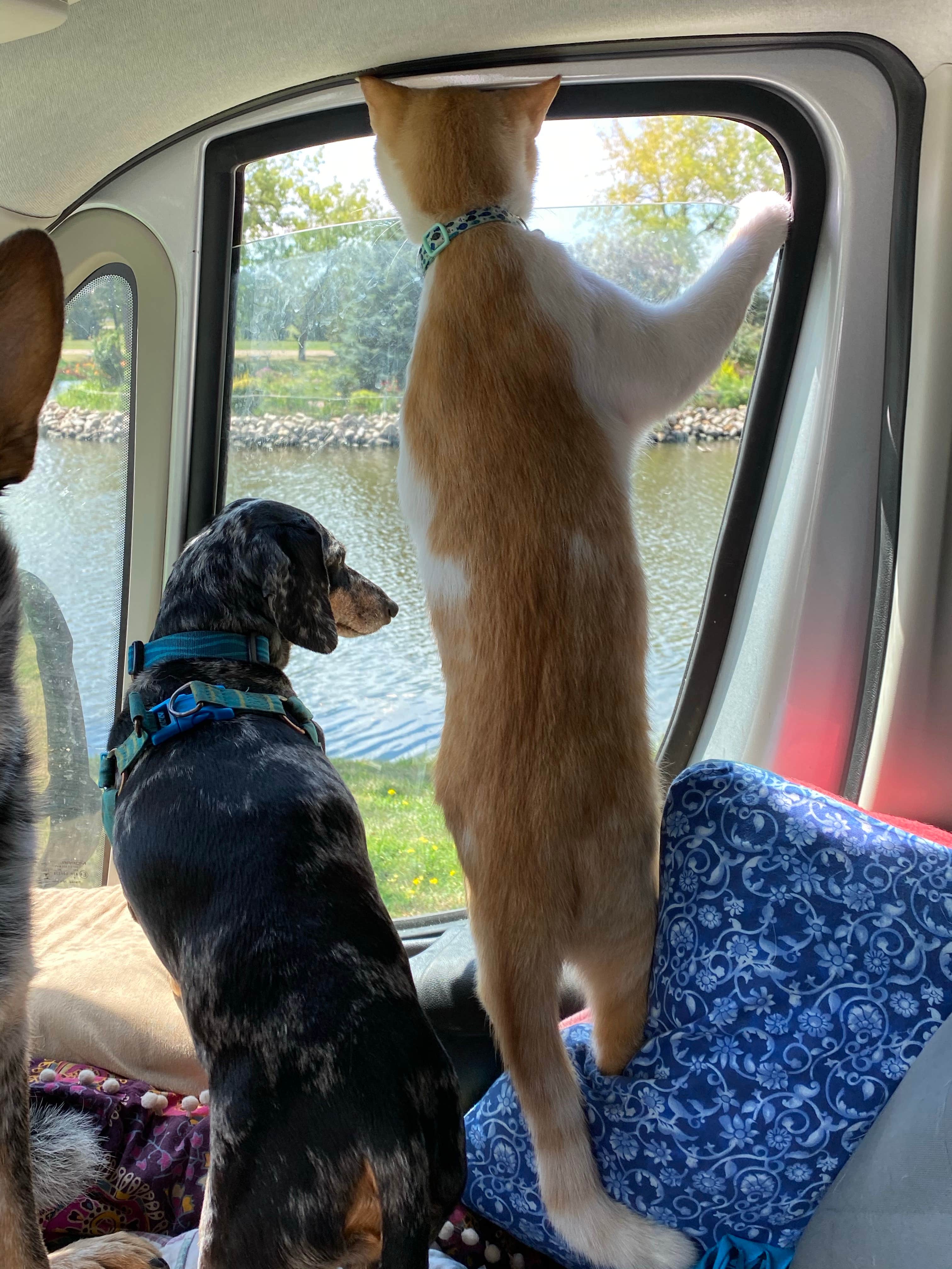 Camper-submitted photo at Norland Park near Arlington, SD