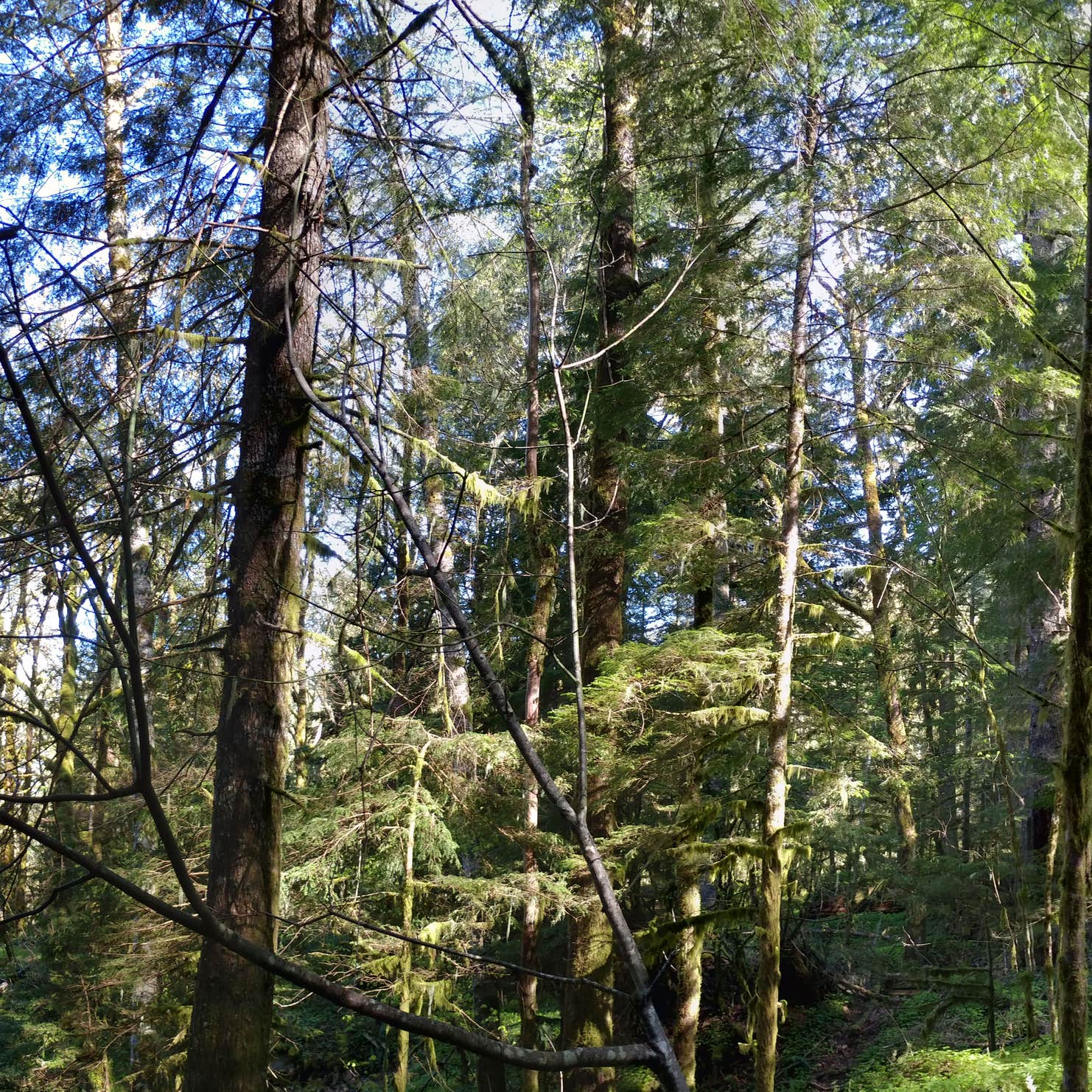 Merrill Lake Campground Camping 