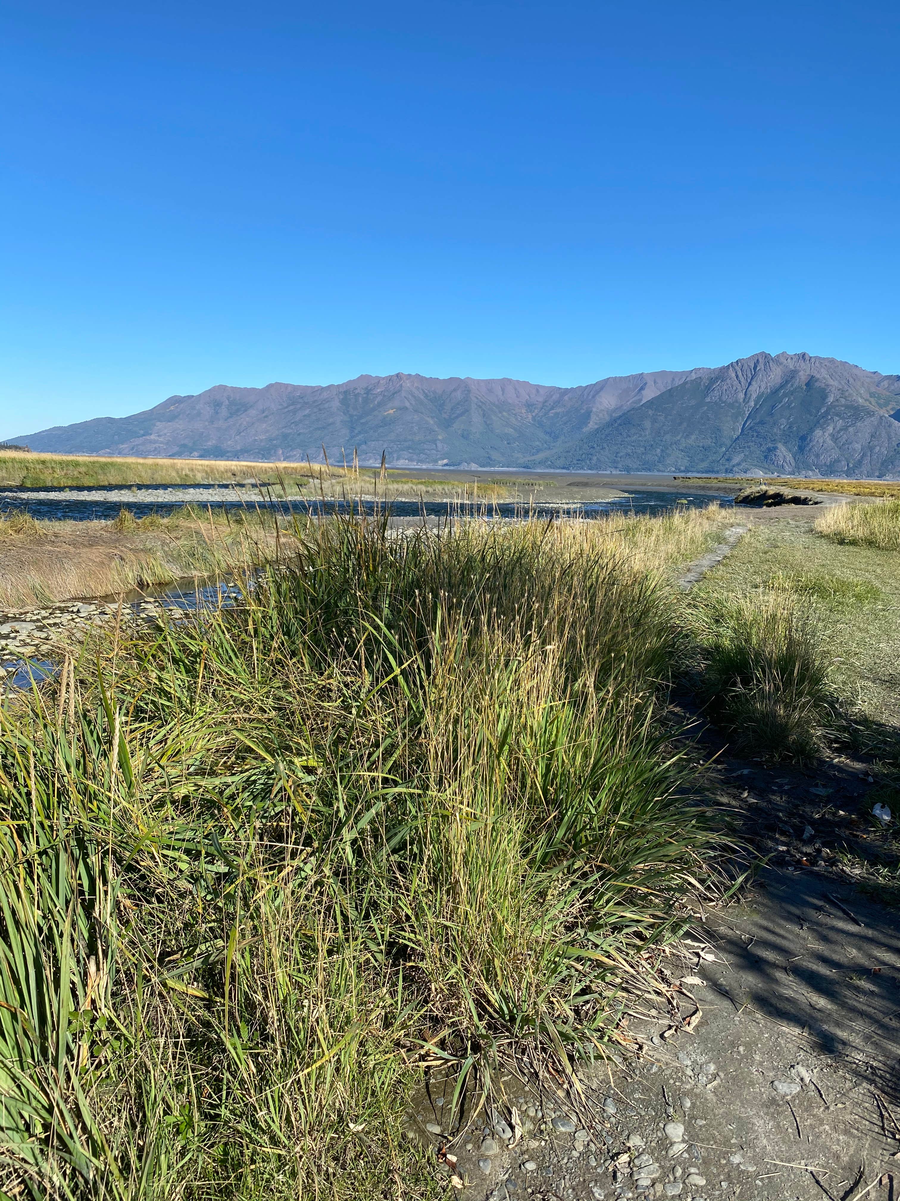 Camper-submitted photo at Historic Hope Cafe & Campground near Moose Pass, AK