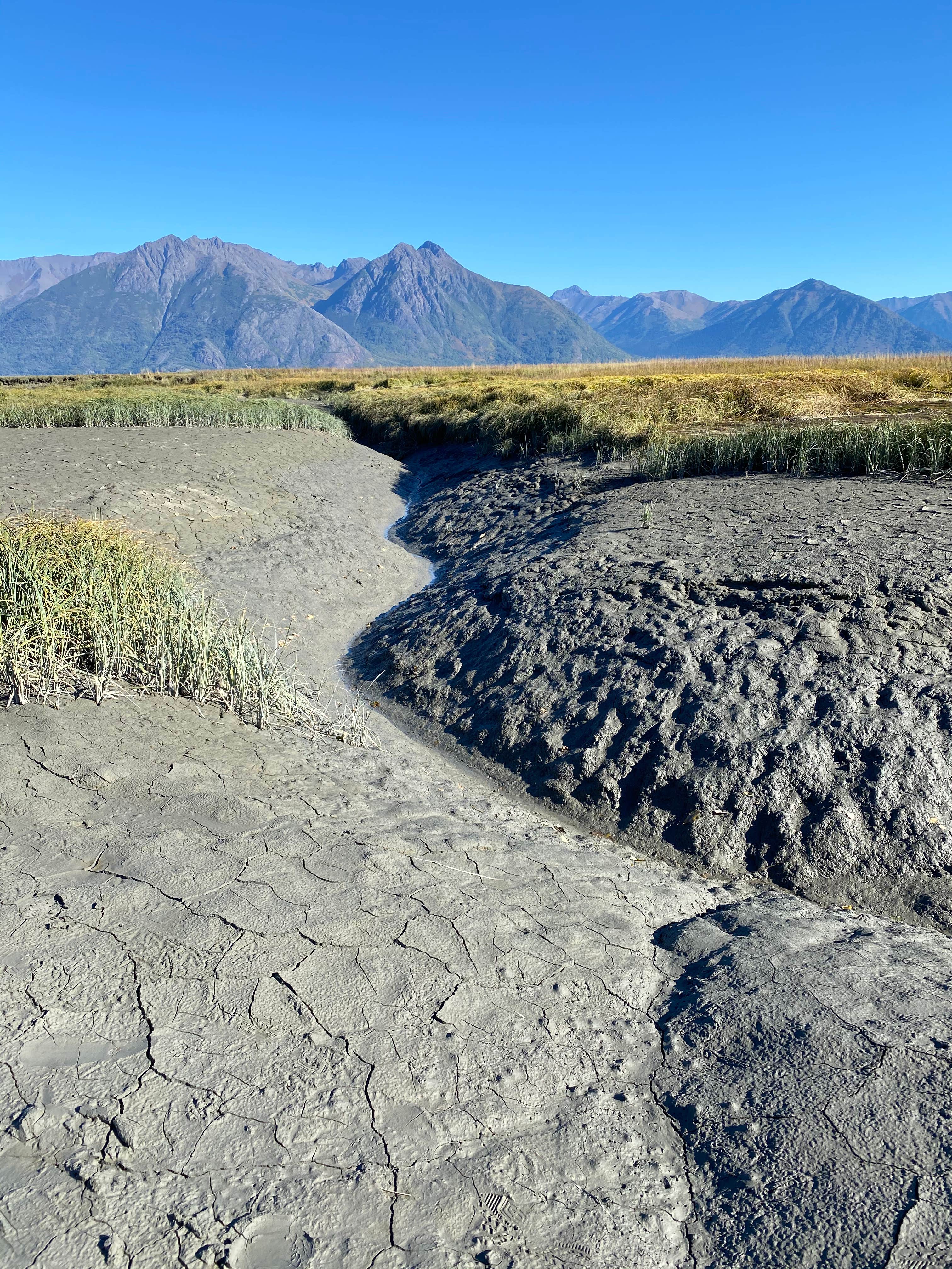 Camping near Porcupine Campground: Historic Hope Cafe & Campground, Hope, Alaska