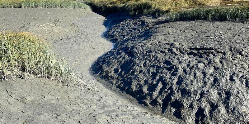 Camper submitted image from Historic Hope Cafe & Campground