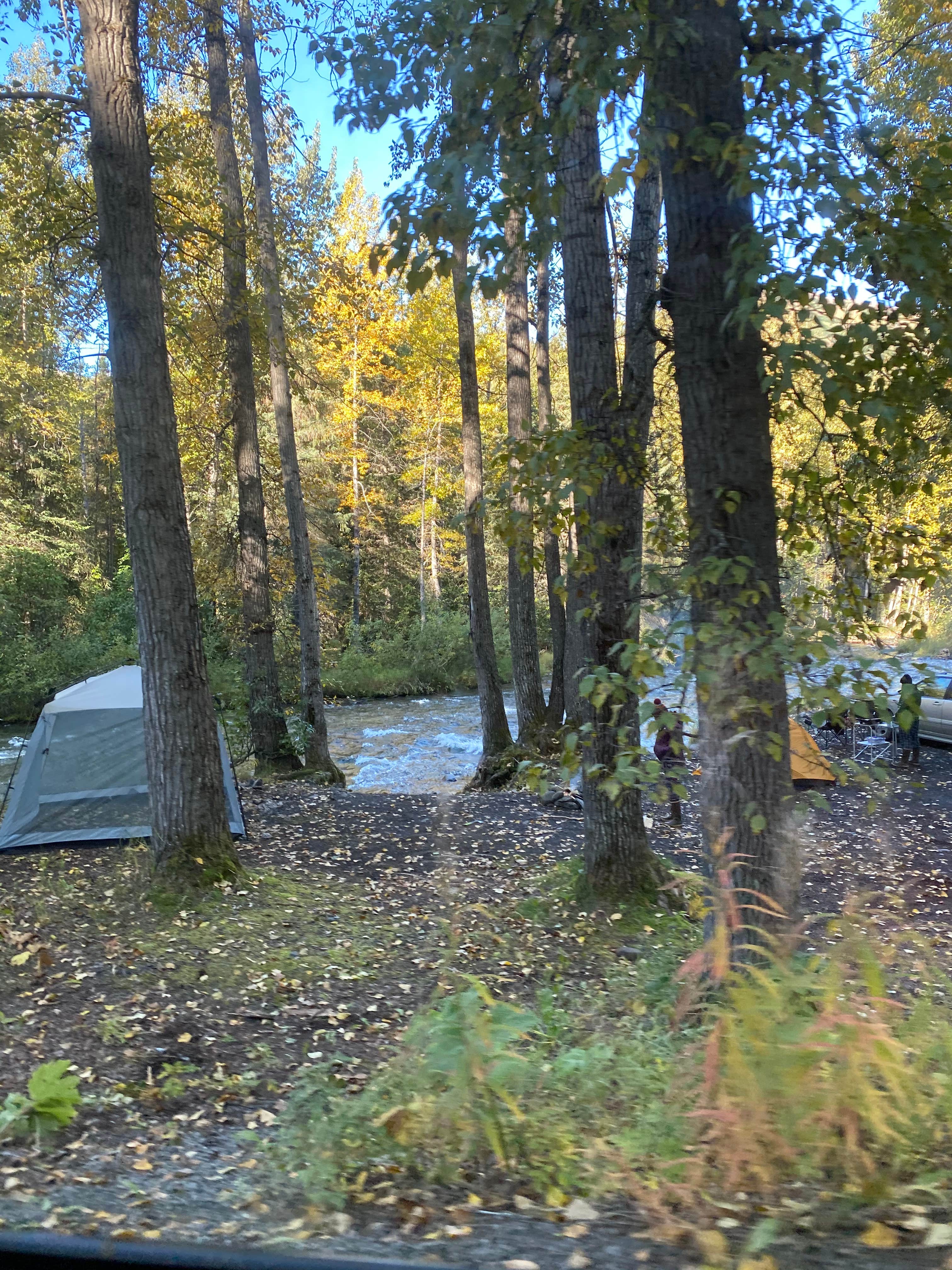 Tanya B.'s photo at Resurrection Pass Trail North near Whittier, AK