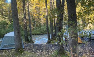 Tanya B.'s photo at Resurrection Pass Trail North near Whittier, AK