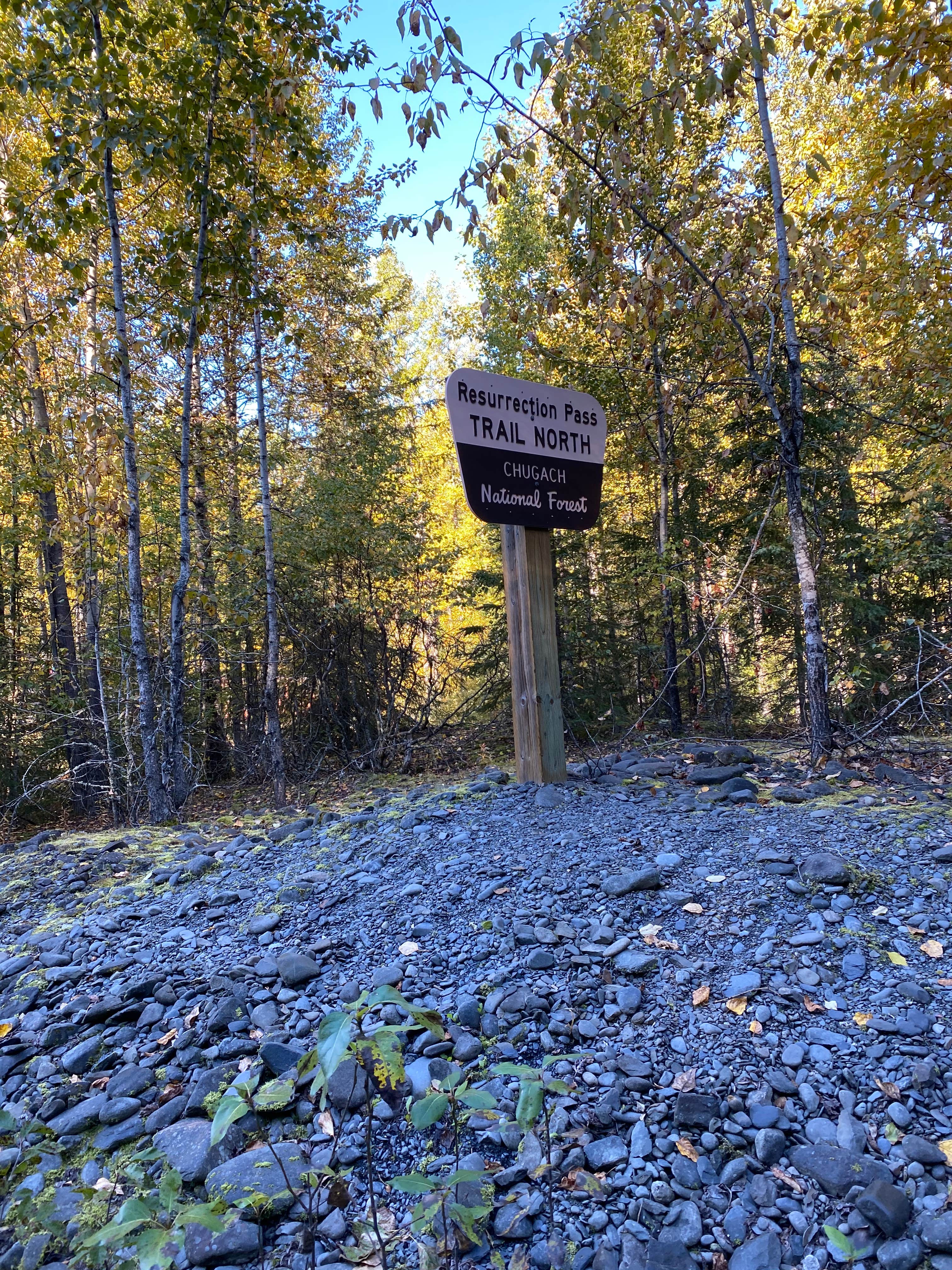 Camper submitted image from Resurrection Pass Trail North - 2