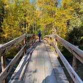 Review photo of Resurrection Pass Trail North by Tanya B., September 12, 2020