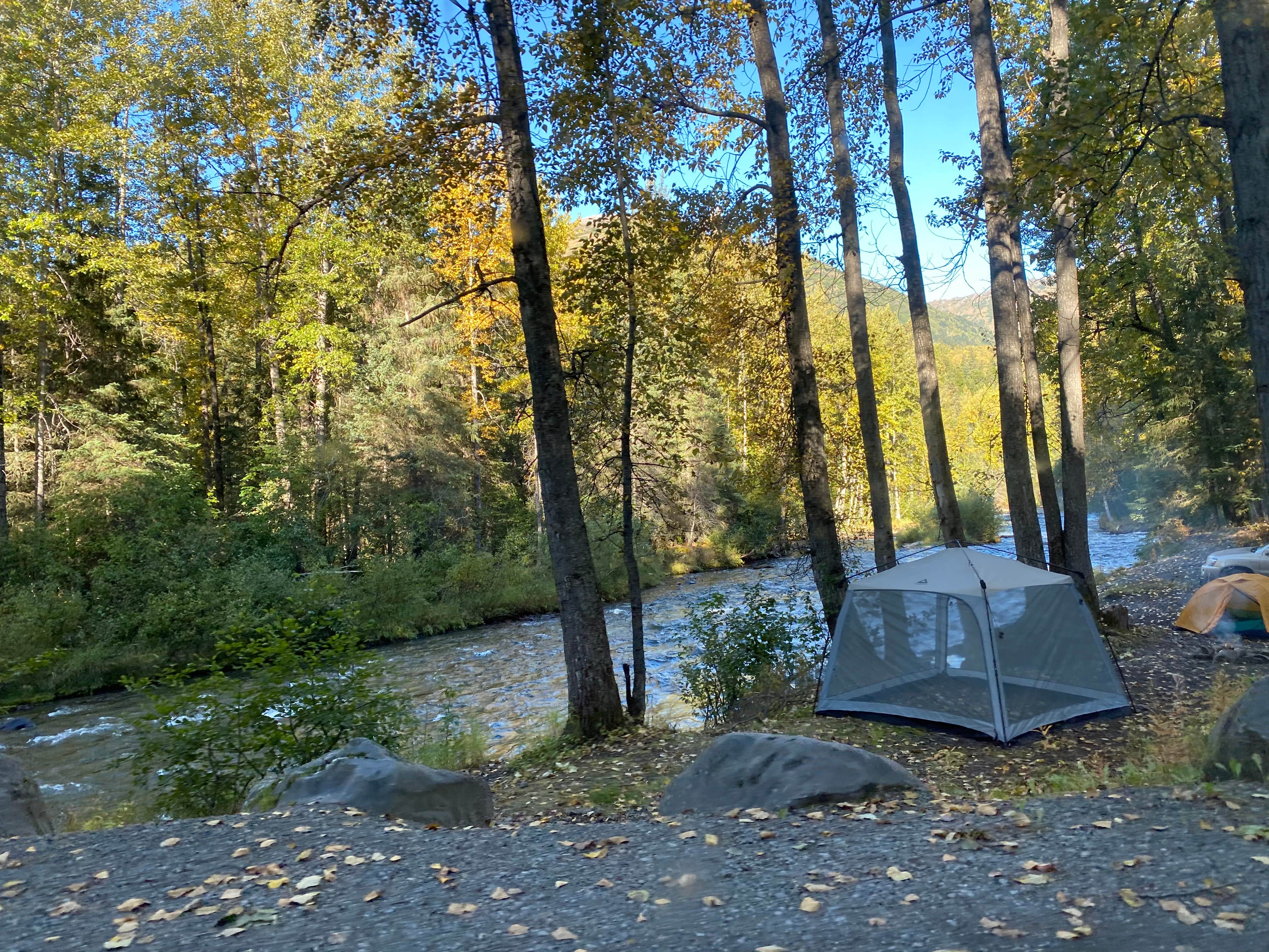 Tanya B.'s photo at Resurrection Pass Trail North near Hope, AK
