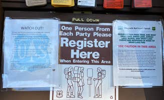 Tanya B.'s photo of camping with pets at Resurrection Pass Trail North near Cooper Landing, AK