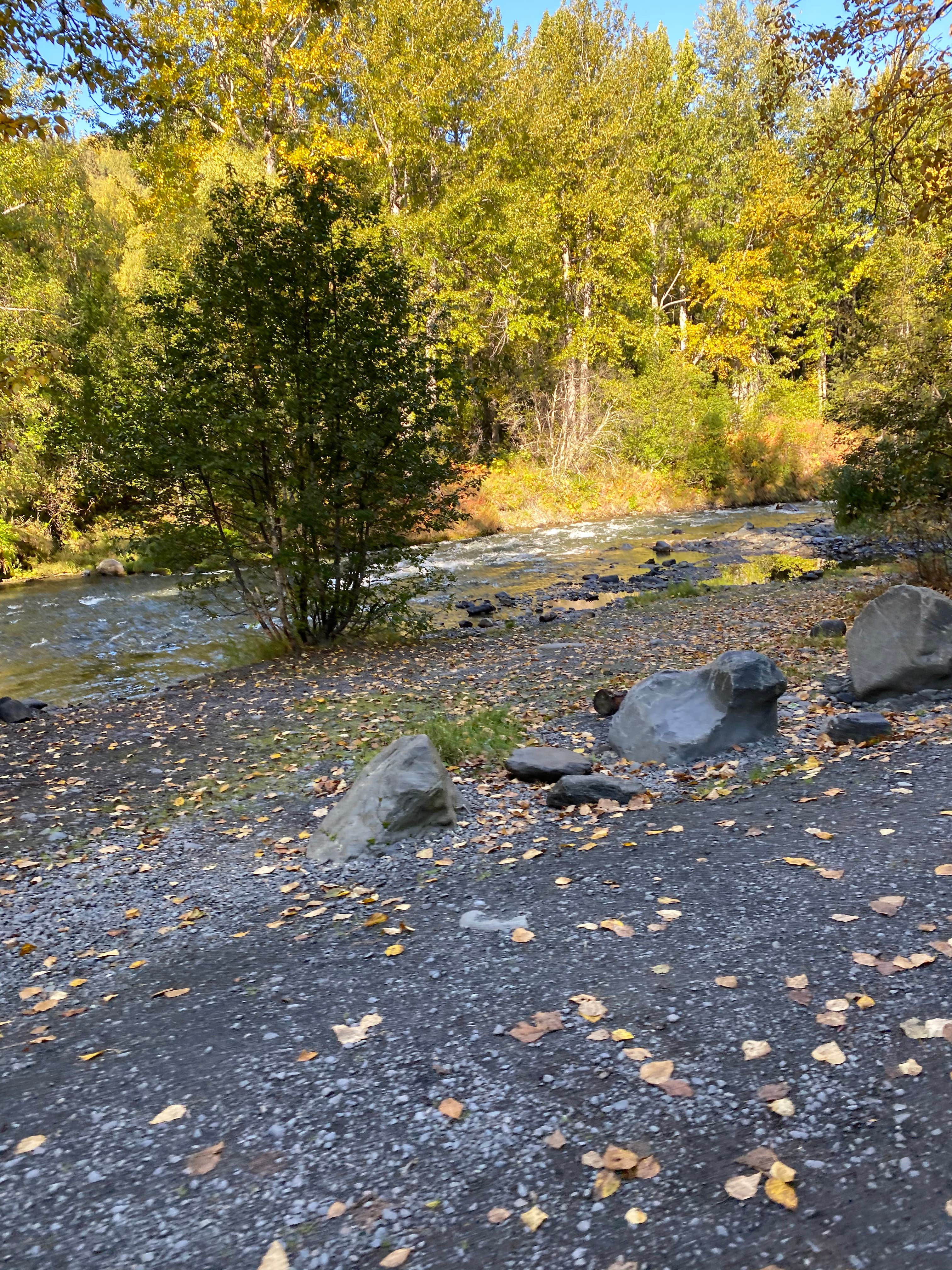 Camper-submitted photo at Resurrection Pass Trail North near Girdwood, AK