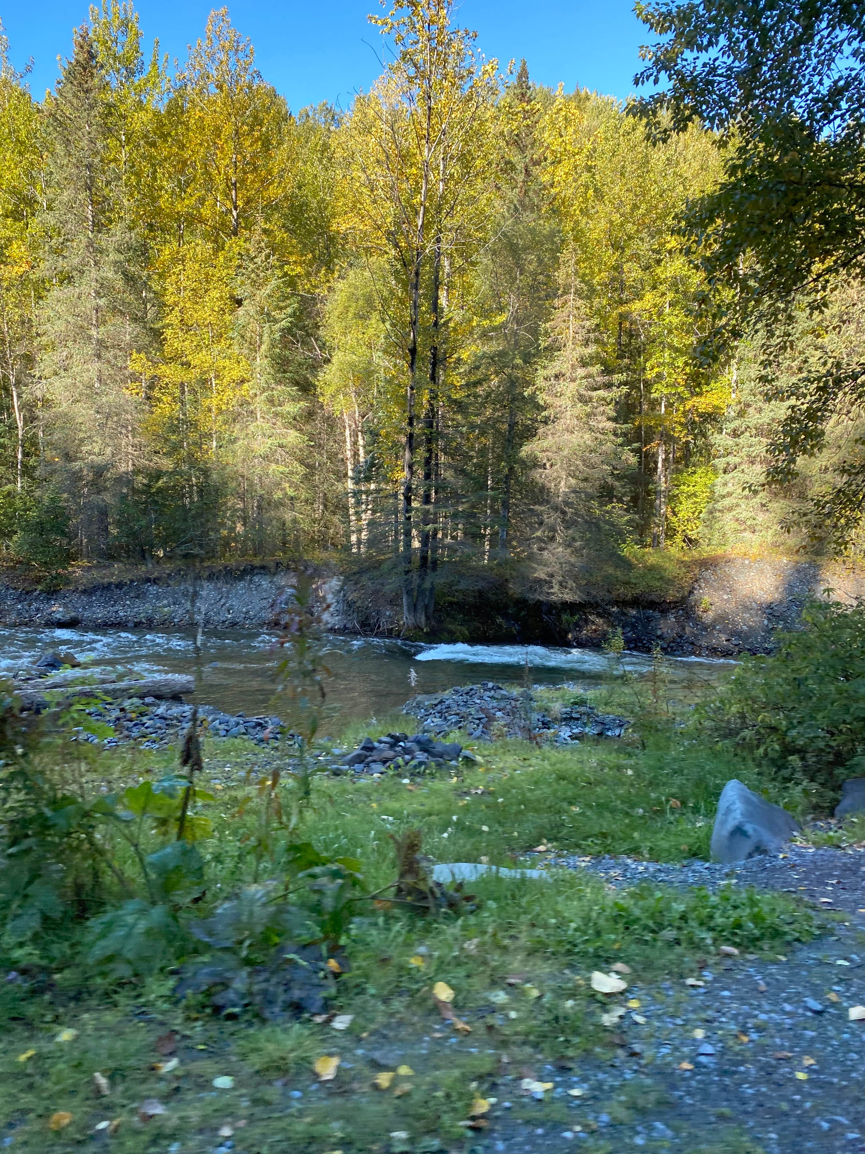 Camper-submitted photo at Resurrection Pass Trail North near Girdwood, AK