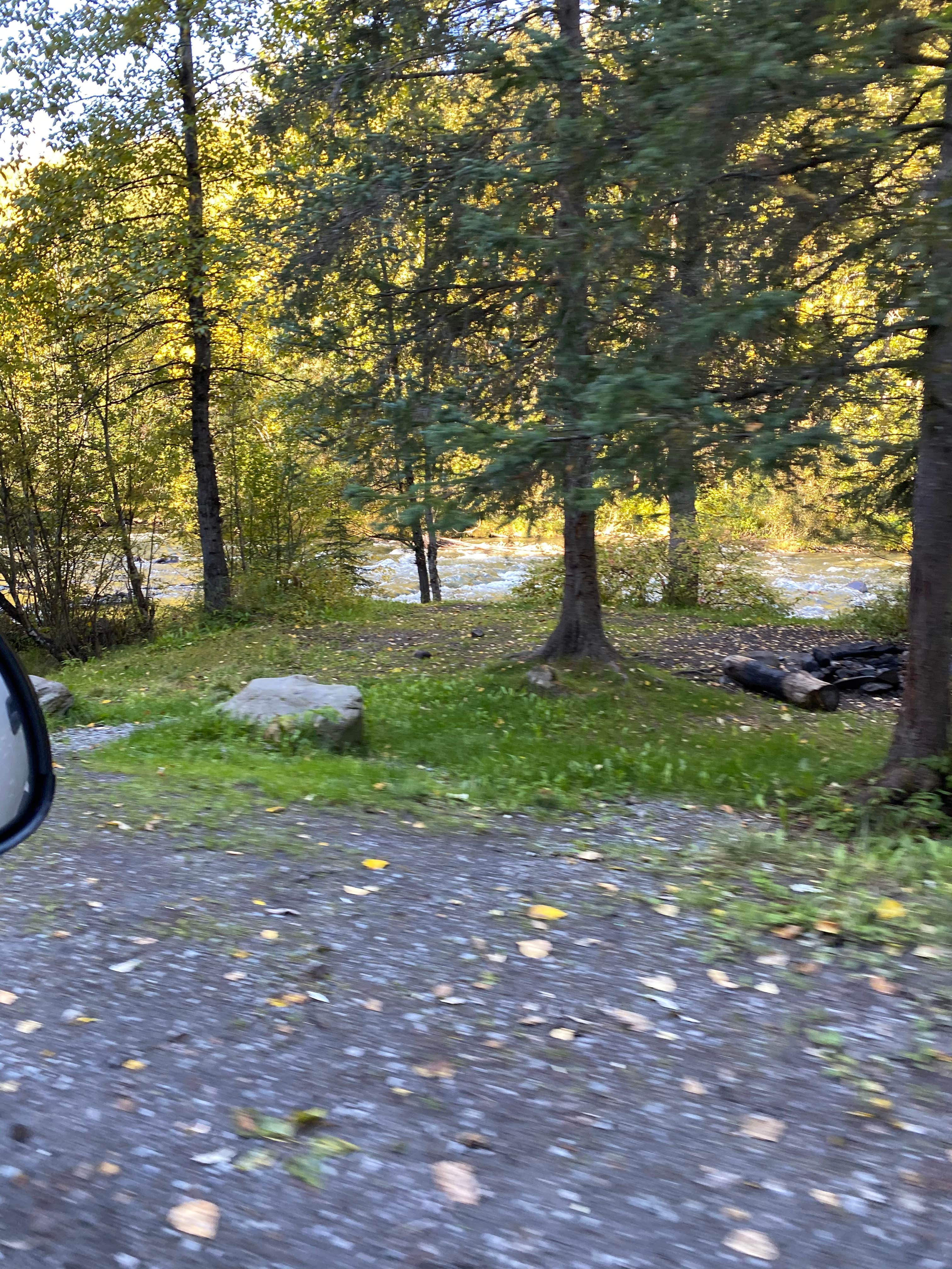 Camper-submitted photo at Resurrection Pass Trail North near Girdwood, AK