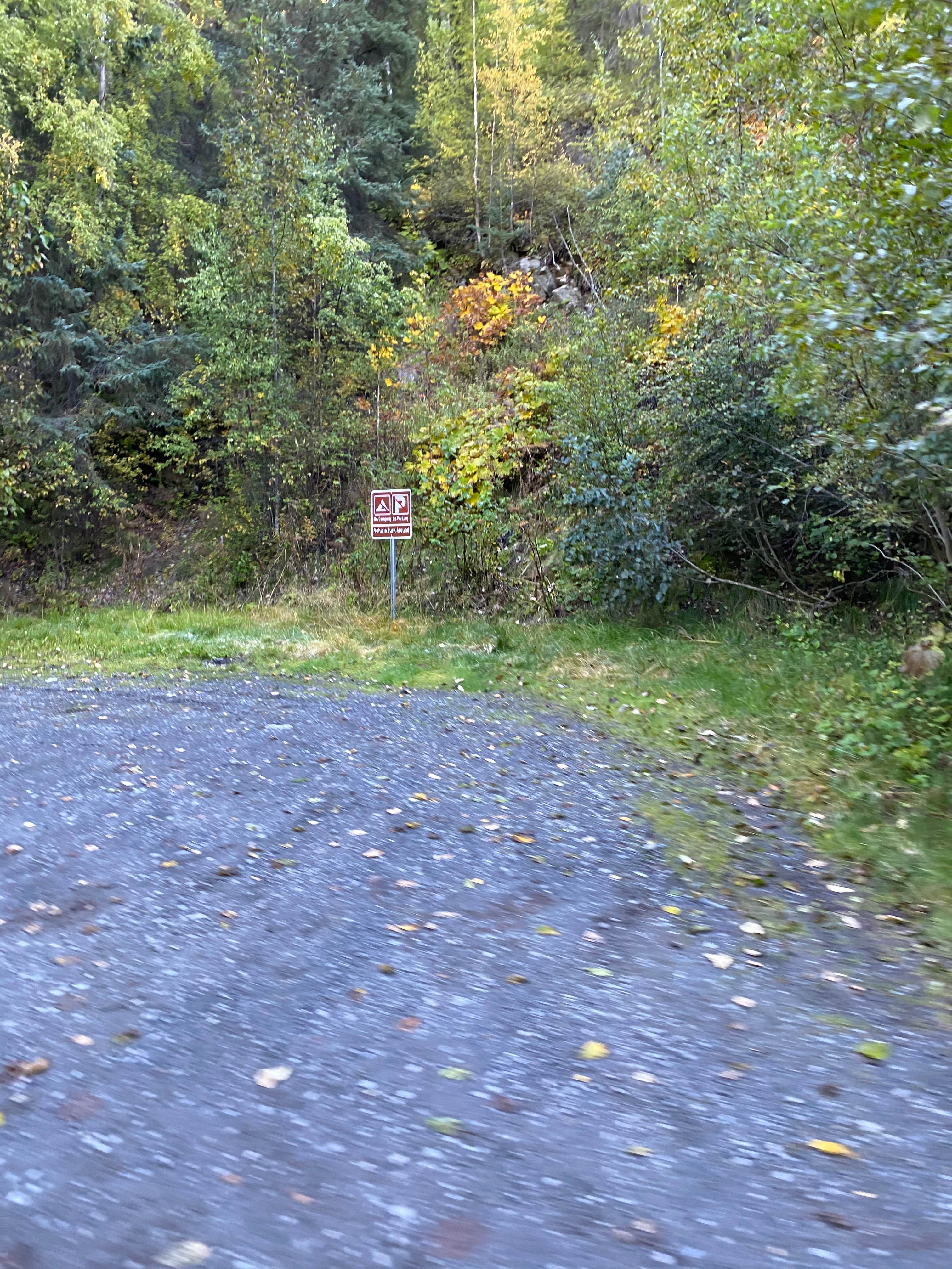 Camper-submitted photo at Resurrection Pass Trail North near Girdwood, AK