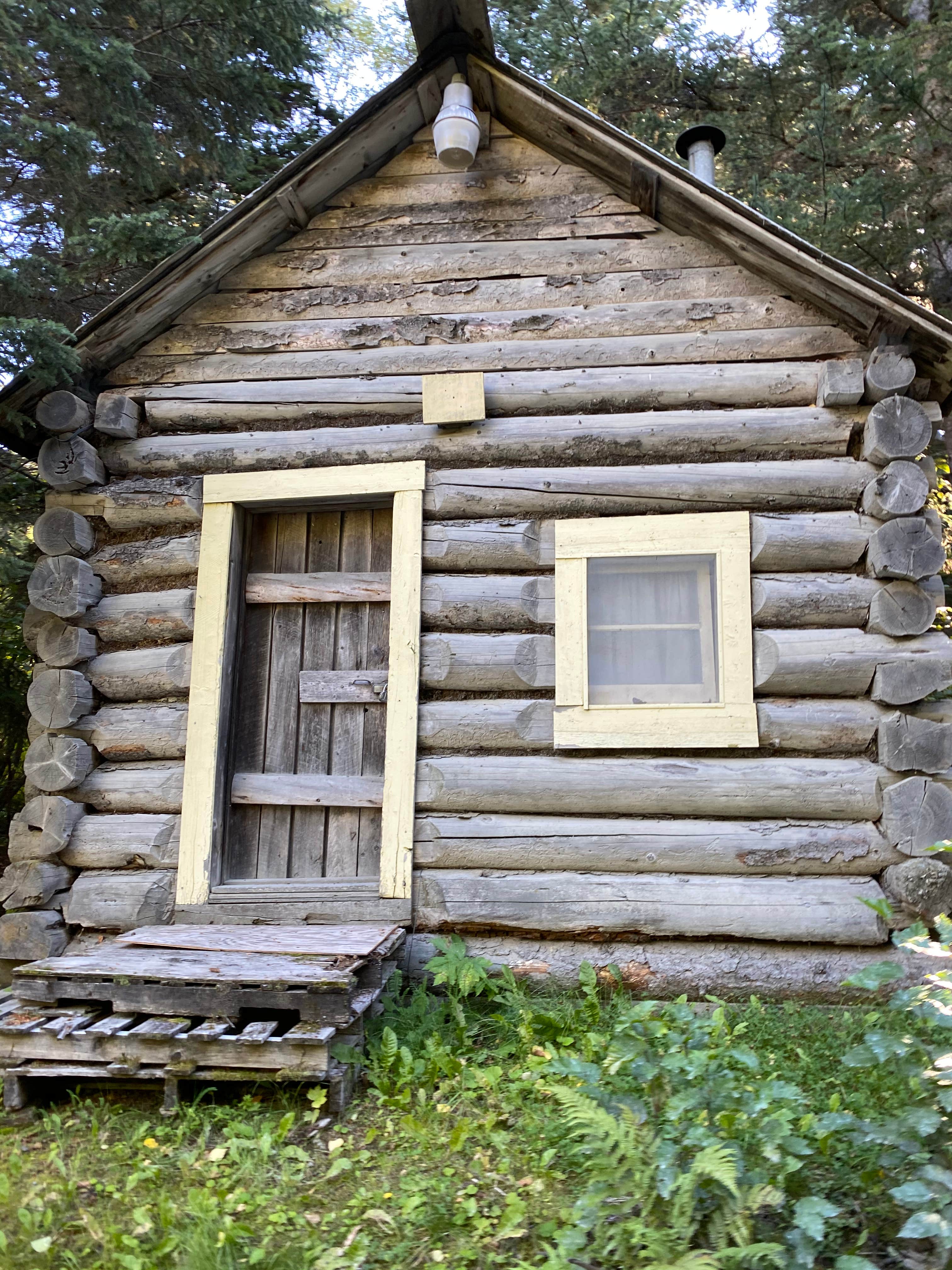 Camping near Porcupine Campground: Resurrection Pass Trail North, Hope, Alaska