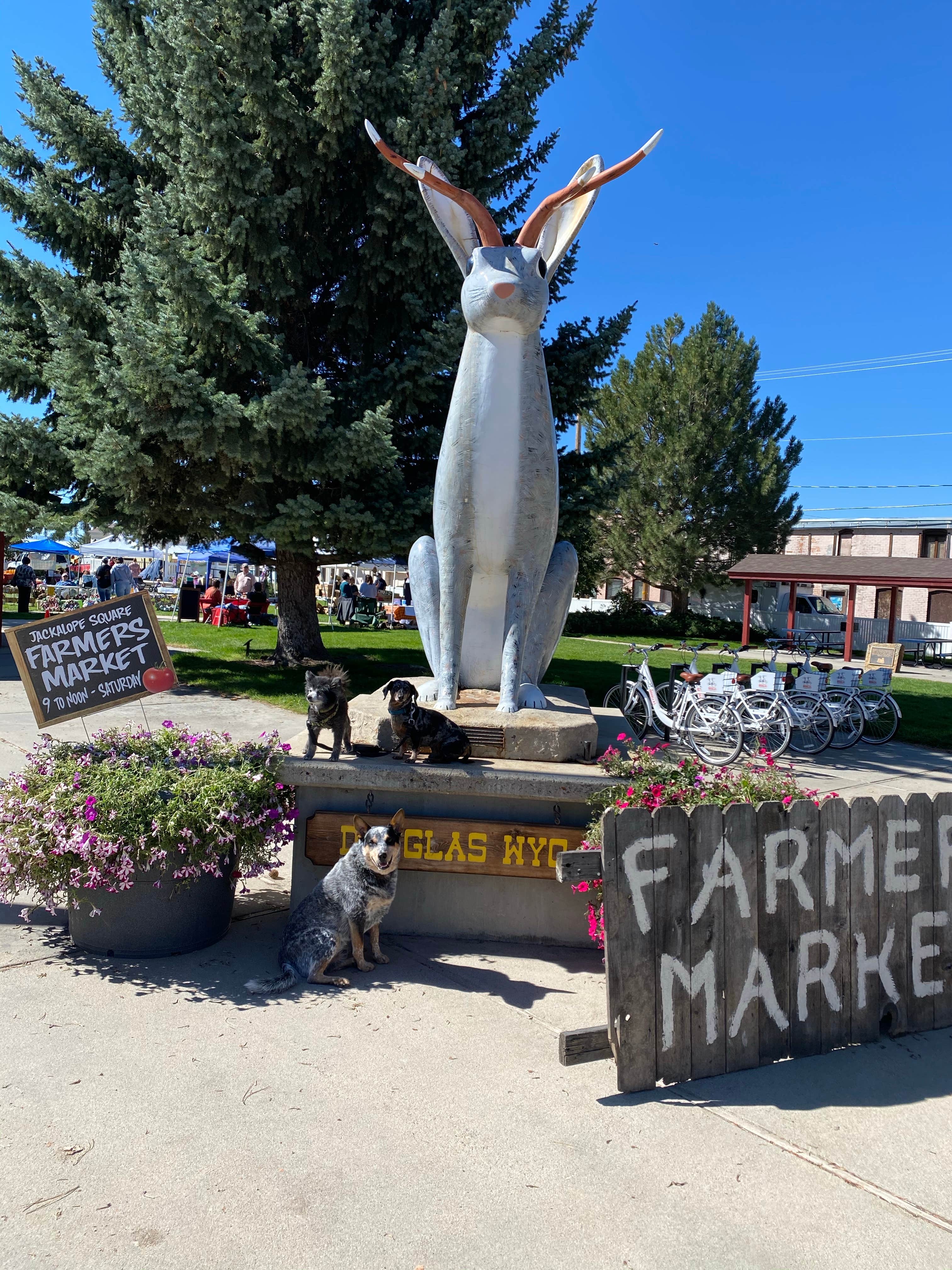 Camper-submitted photo at Riverside City Park near Glenrock, WY
