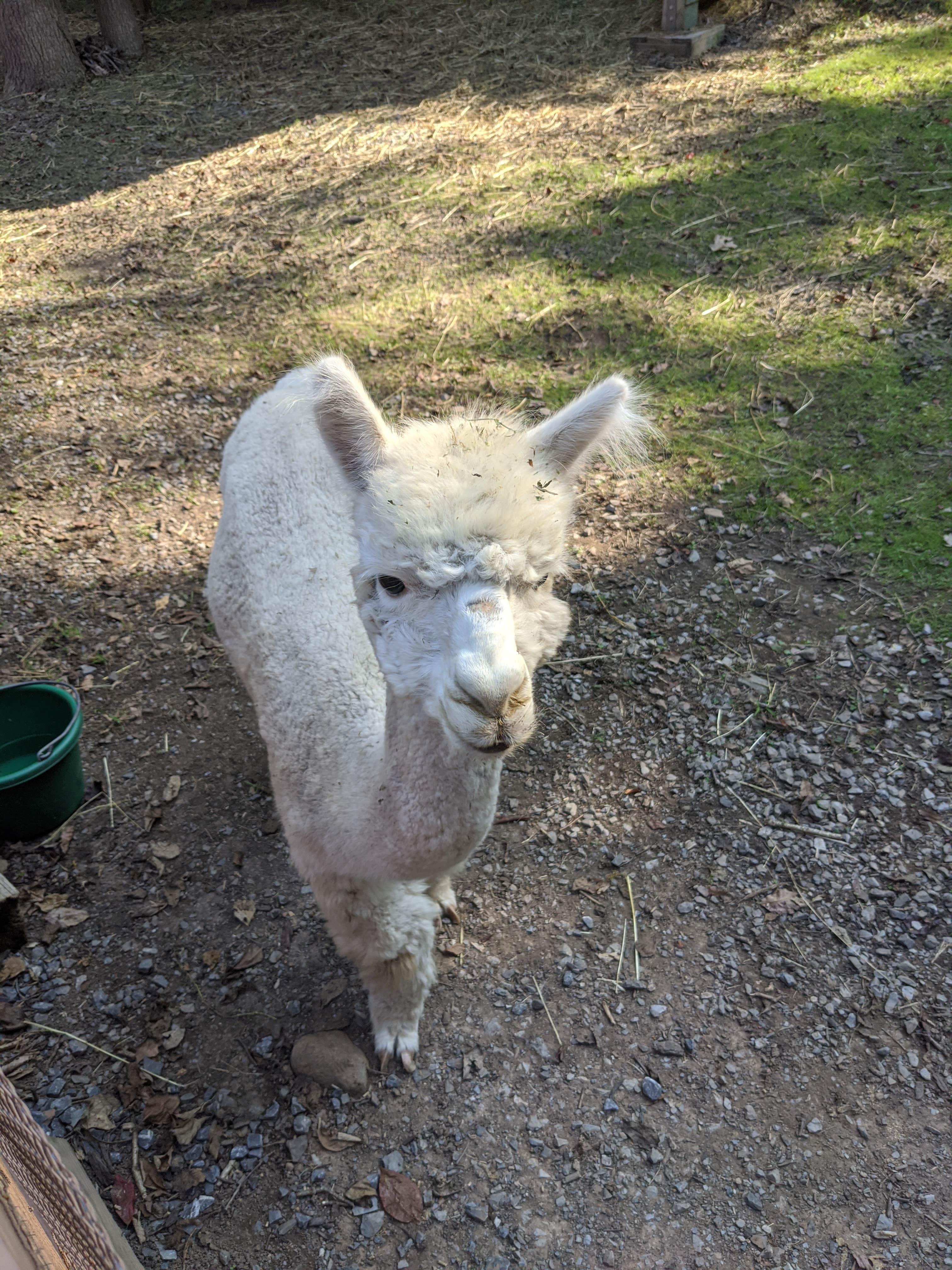 Camper-submitted photo at Lake Raystown Resort and Lodge near Saxton, PA