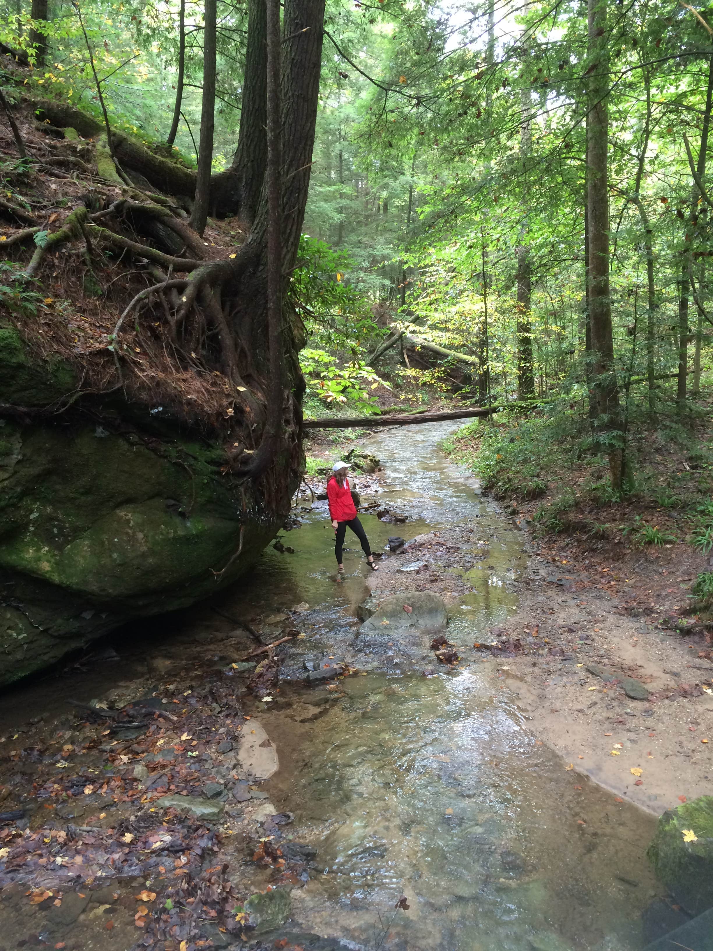 Camper-submitted photo at Whittleton Campground — Natural Bridge State Resort Park near Buckhorn Lake