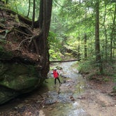 Review photo of Natural Bridge State Resort Park by Don C., May 16, 2018
