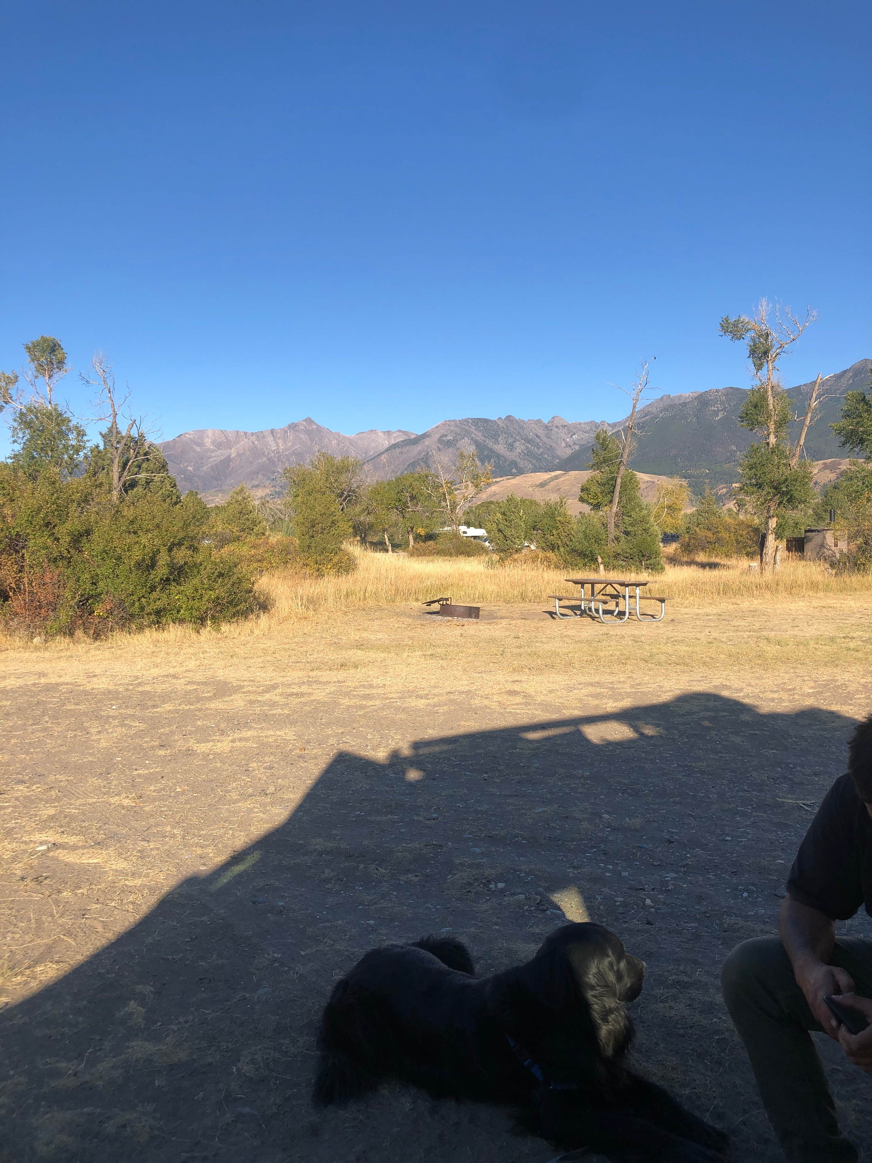 Alex P.'s photo of camping with pets at Mallard's Rest - TEMPORARILY CLOSED near Greycliff, MT