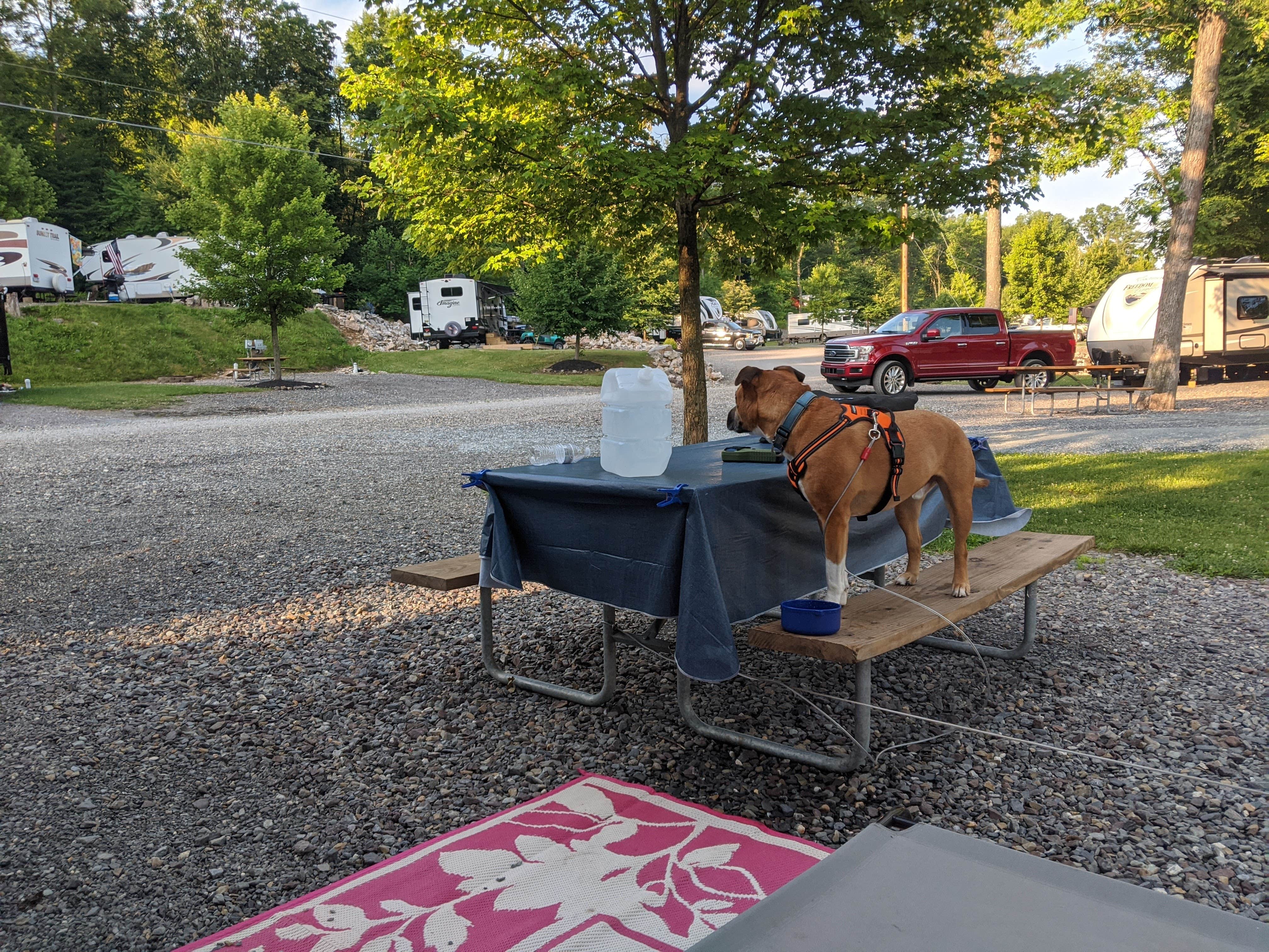 Camper submitted image from Stonybrook RV Resort - 3