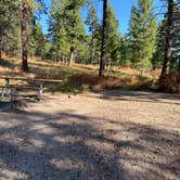 Review photo of West Shore Unit — Flathead Lake State Park by Carolee , September 13, 2020