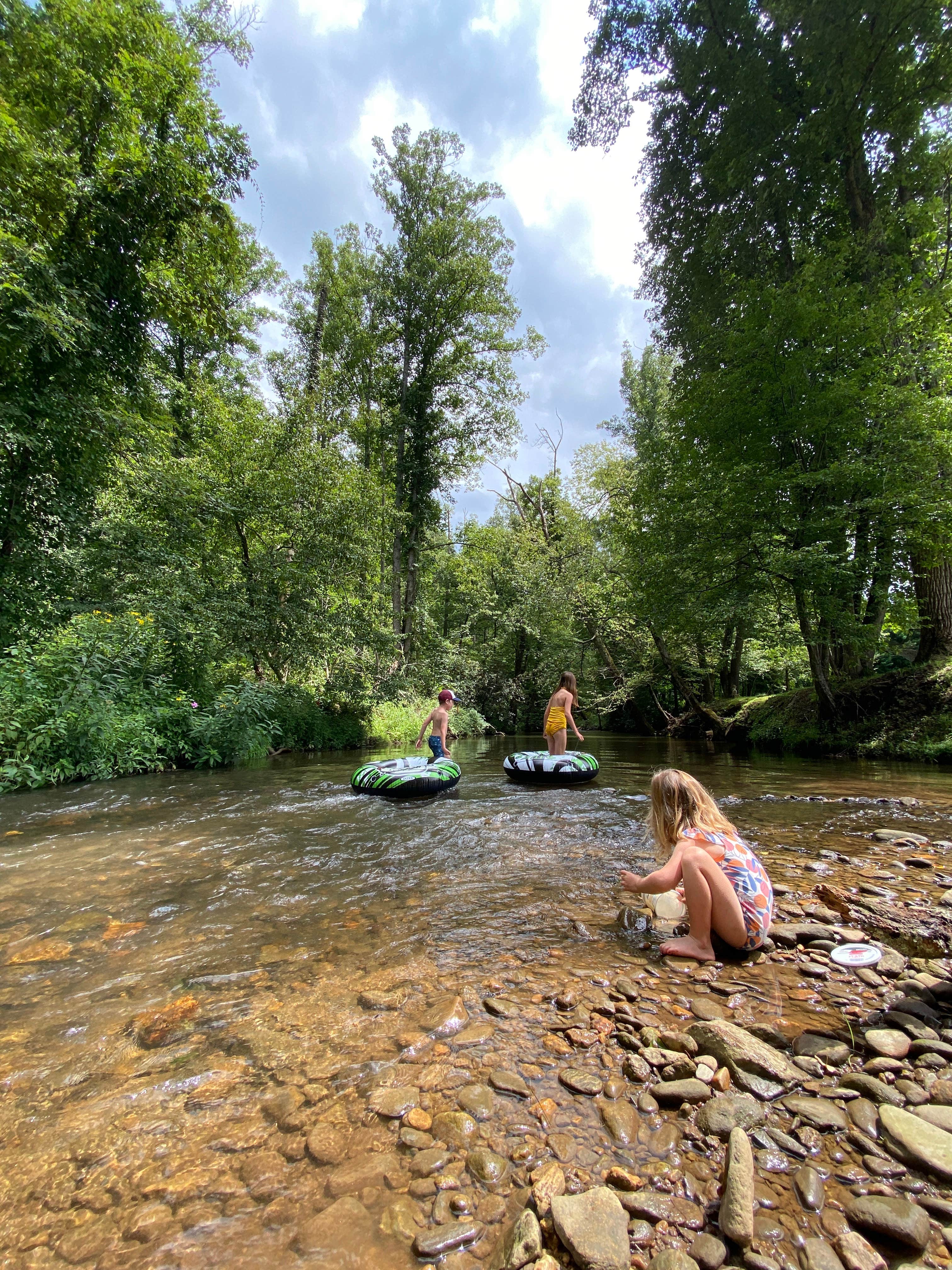 Camper-submitted photo at Hominy Valley RV Park near Candler, NC