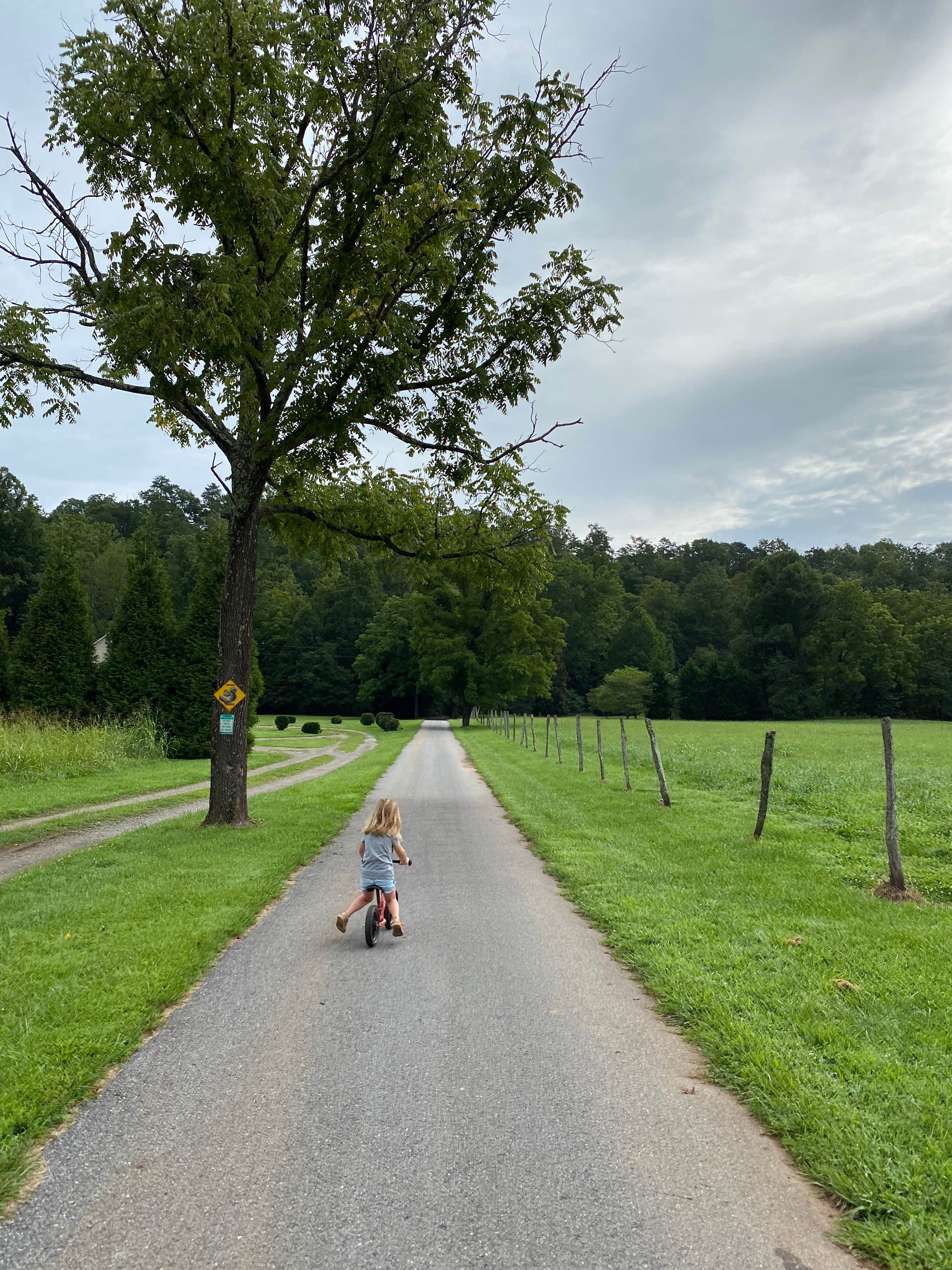 Camper-submitted photo at Hominy Valley RV Park near Candler, NC