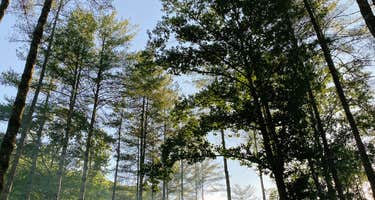 Trout Creek Campground