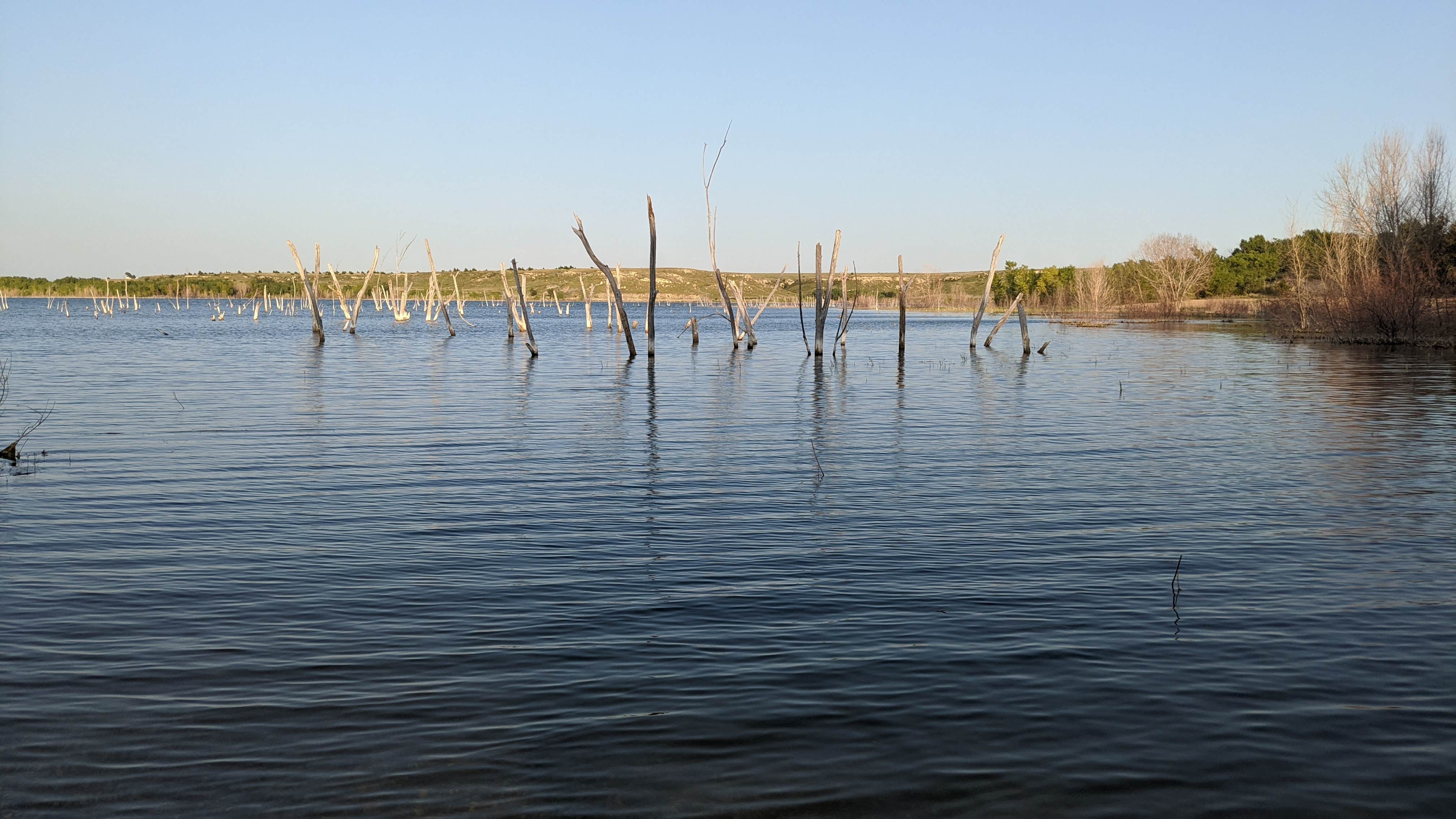 Camper-submitted photo at Page Creek Area — Cedar Bluff State Park near Bogue, KS