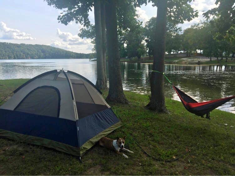 Chrischelle N.'s photo of camping with pets at Rhea Springs Recreation Area County Park and Campground near Sale Creek, TN