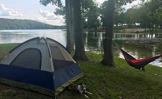 Chrischelle N.'s photo of camping with pets at Rhea Springs Recreation Area County Park and Campground near Kingston, TN