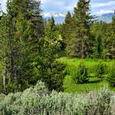 Review photo of Headwaters Campground at Flagg Ranch — John D. Rockefeller, Jr., Memorial Parkway by Shea M., September 13, 2020