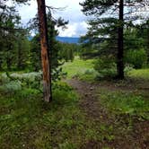 Review photo of Headwaters Campground at Flagg Ranch — John D. Rockefeller, Jr., Memorial Parkway by Shea M., September 13, 2020