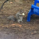 Review photo of Fort Stevens State Park Campground by Logan  C., September 13, 2020