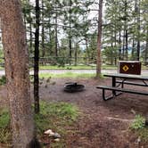 Review photo of Headwaters Campground at Flagg Ranch — John D. Rockefeller, Jr., Memorial Parkway by Shea M., September 13, 2020