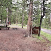 Review photo of Headwaters Campground at Flagg Ranch — John D. Rockefeller, Jr., Memorial Parkway by Shea M., September 13, 2020