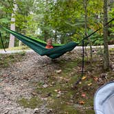 Review photo of Black Forest Family Camping Resort by Meredith , September 13, 2020