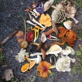Review photo of French Creek State Park Campground by Michael B., September 13, 2020
